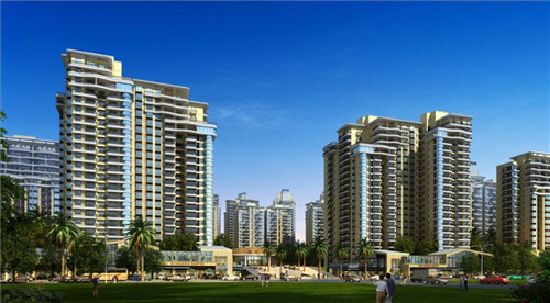 澳美徕澳门花胶鸡