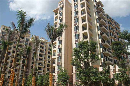 江川生态石锅鱼