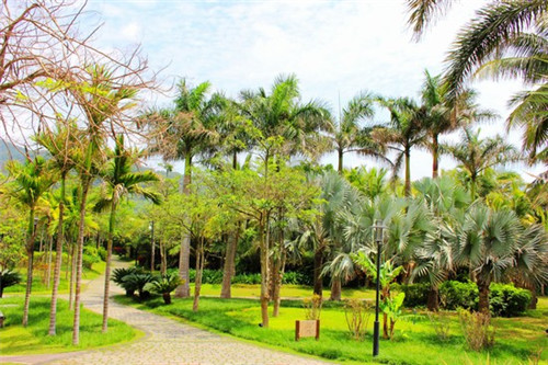 成记椒颜酸菜小鱼一月可以挣多钱，加盟成记椒颜酸菜小鱼联系方式是什么
