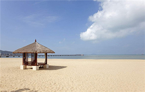 宠物用品店商业模式，宠物用品店创业构思怎么写