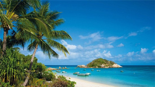 创业加盟艾特小优奶茶怎么样