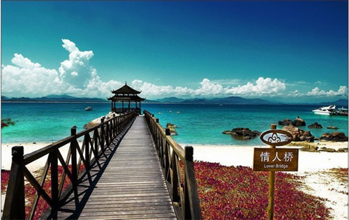 霍怀峥洛依泠（霍怀峥洛依泠小说免费阅读最新）