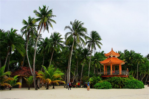 陈宗明和大伟闹掰了吗（陈宗敏公司）