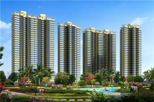 2025青瓷杯连锁店什么项目比较火爆（青瓷杯的好处）