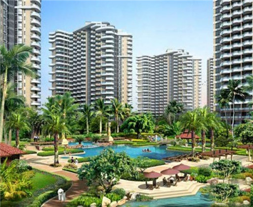 麻子是什么意思（仙逆王麻子是什么意思）