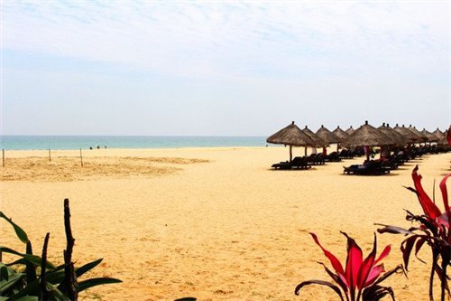 武汉十大特产水果有什么（武汉有什么好吃的特产水果）