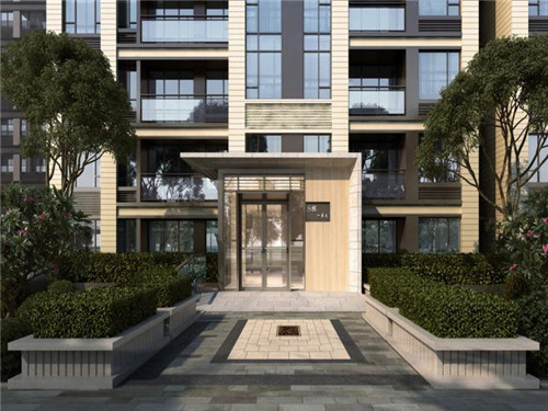 菠菜公司是什么意思（菠菜公司是啥）