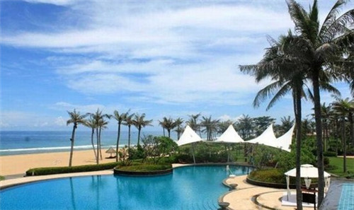 花盆小游戏怎么做（小花盆创意）